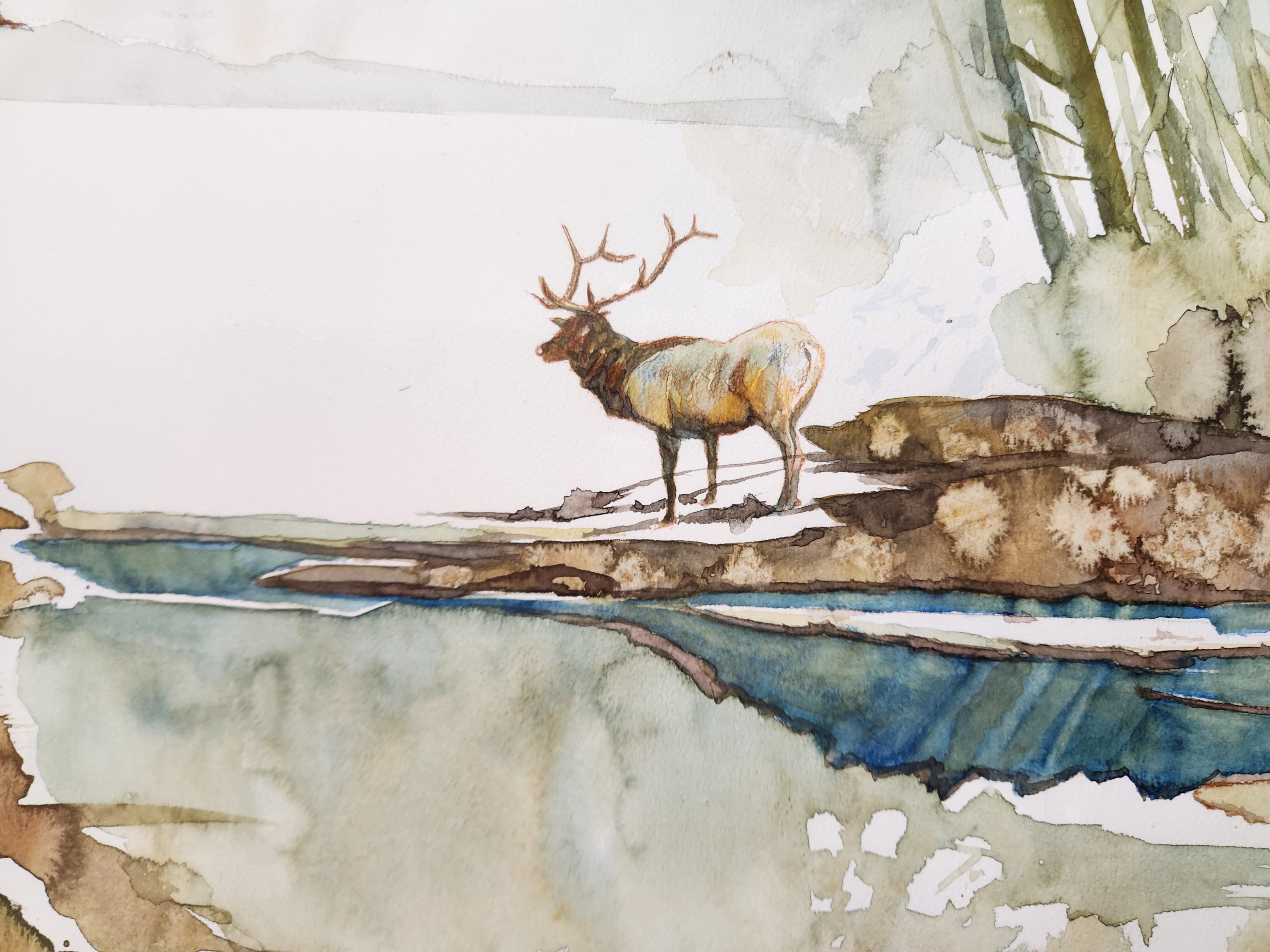 作品ギャラリー