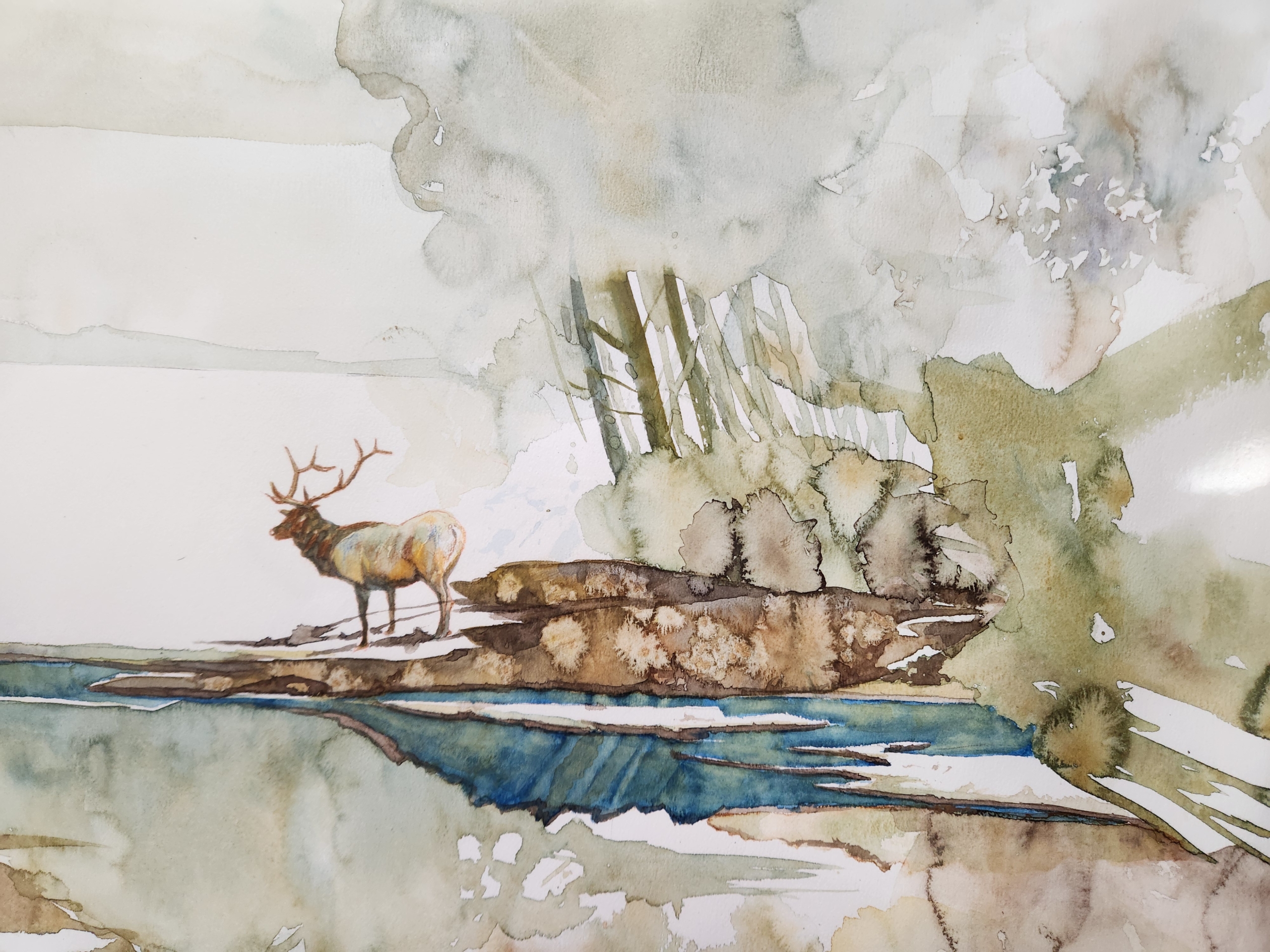 作品ギャラリー