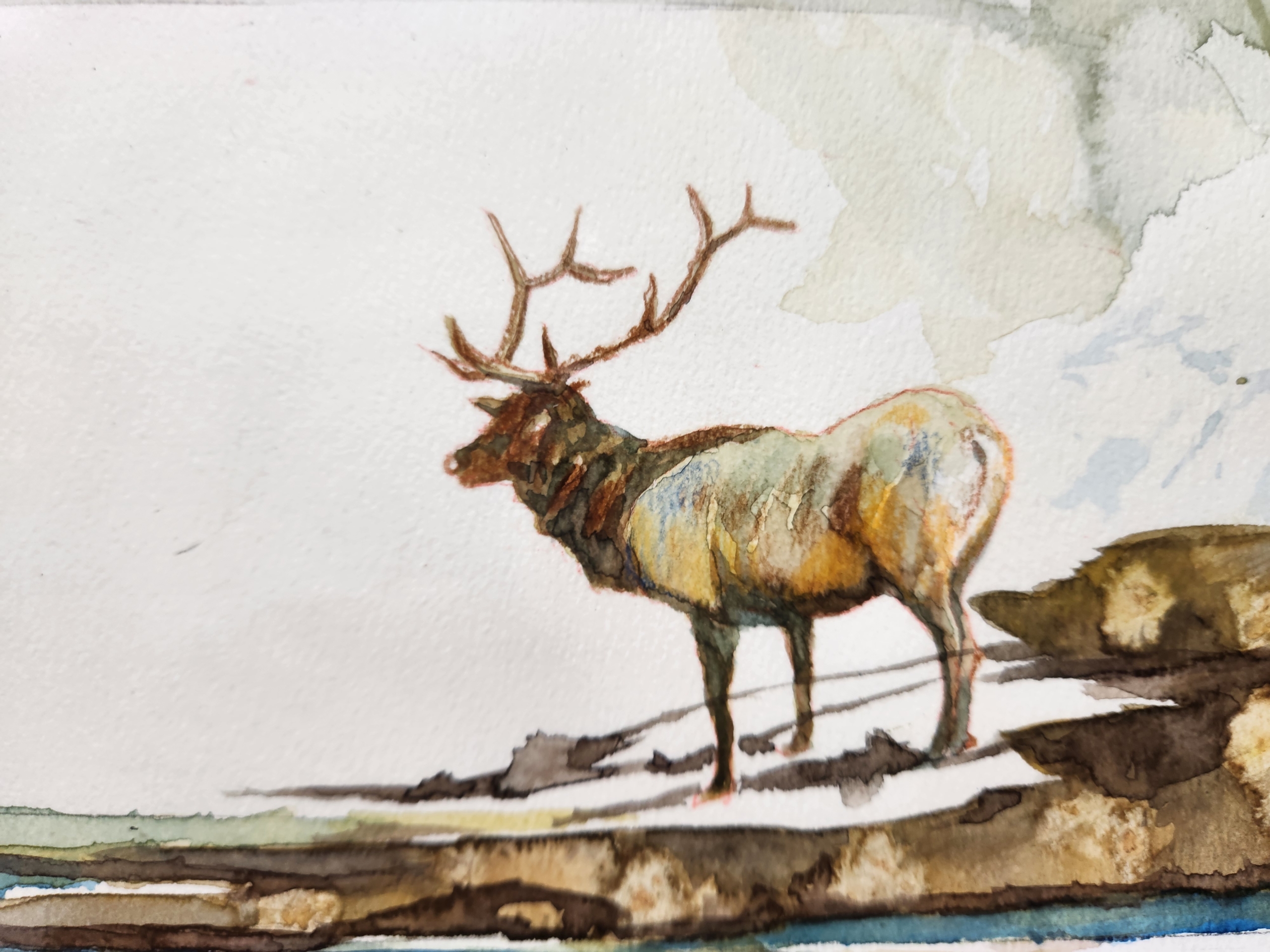 作品ギャラリー