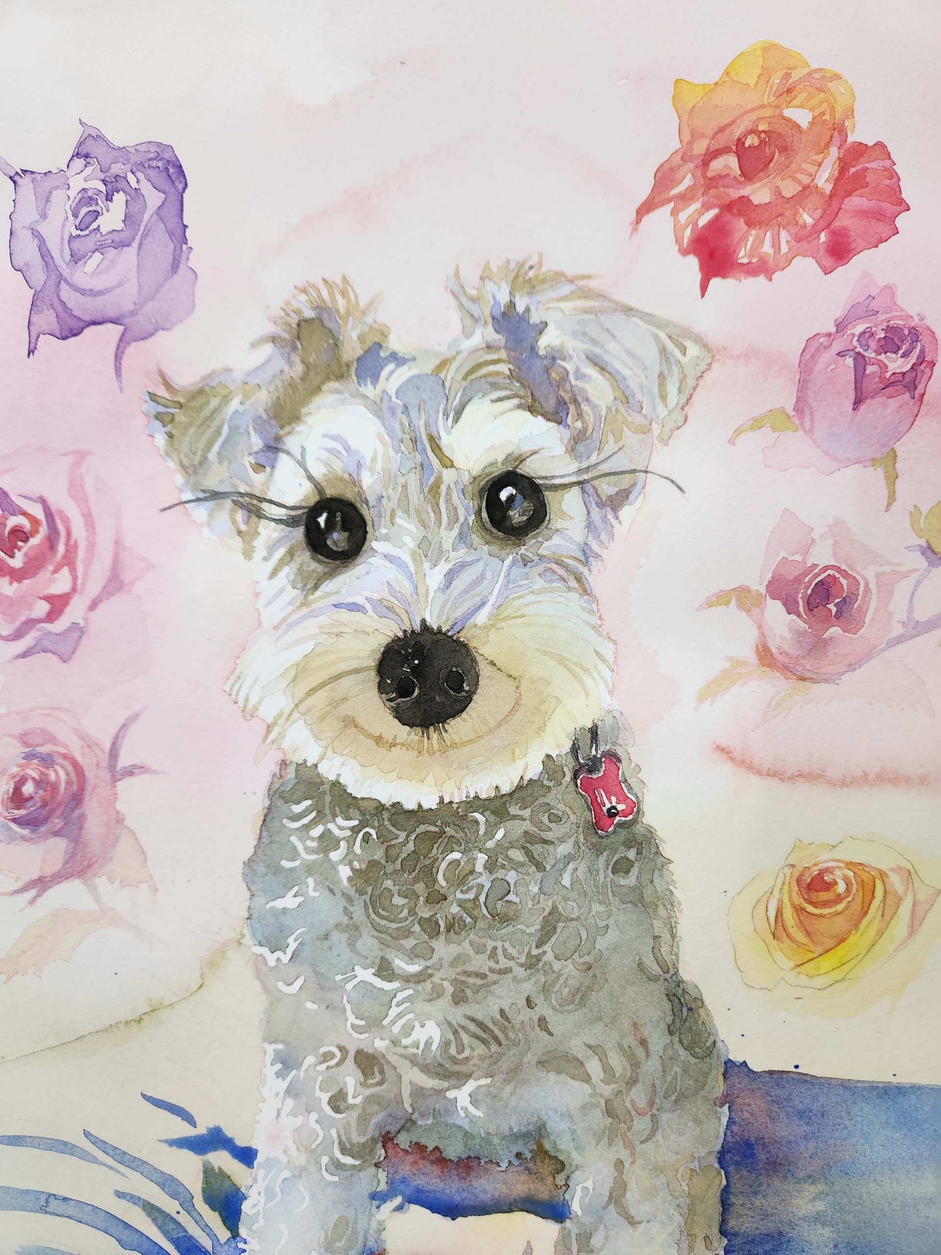 作品ギャラリー