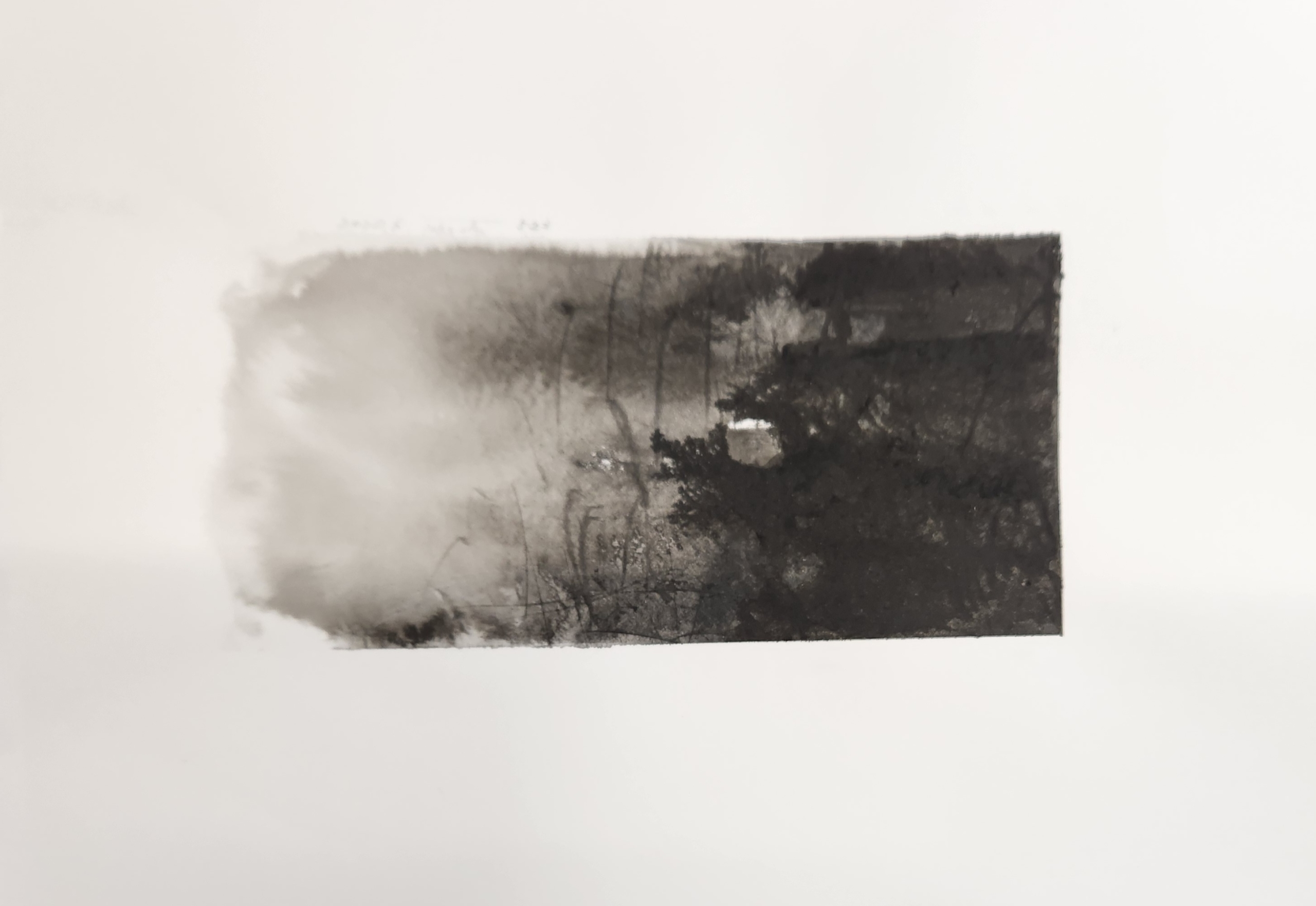 作品ギャラリー