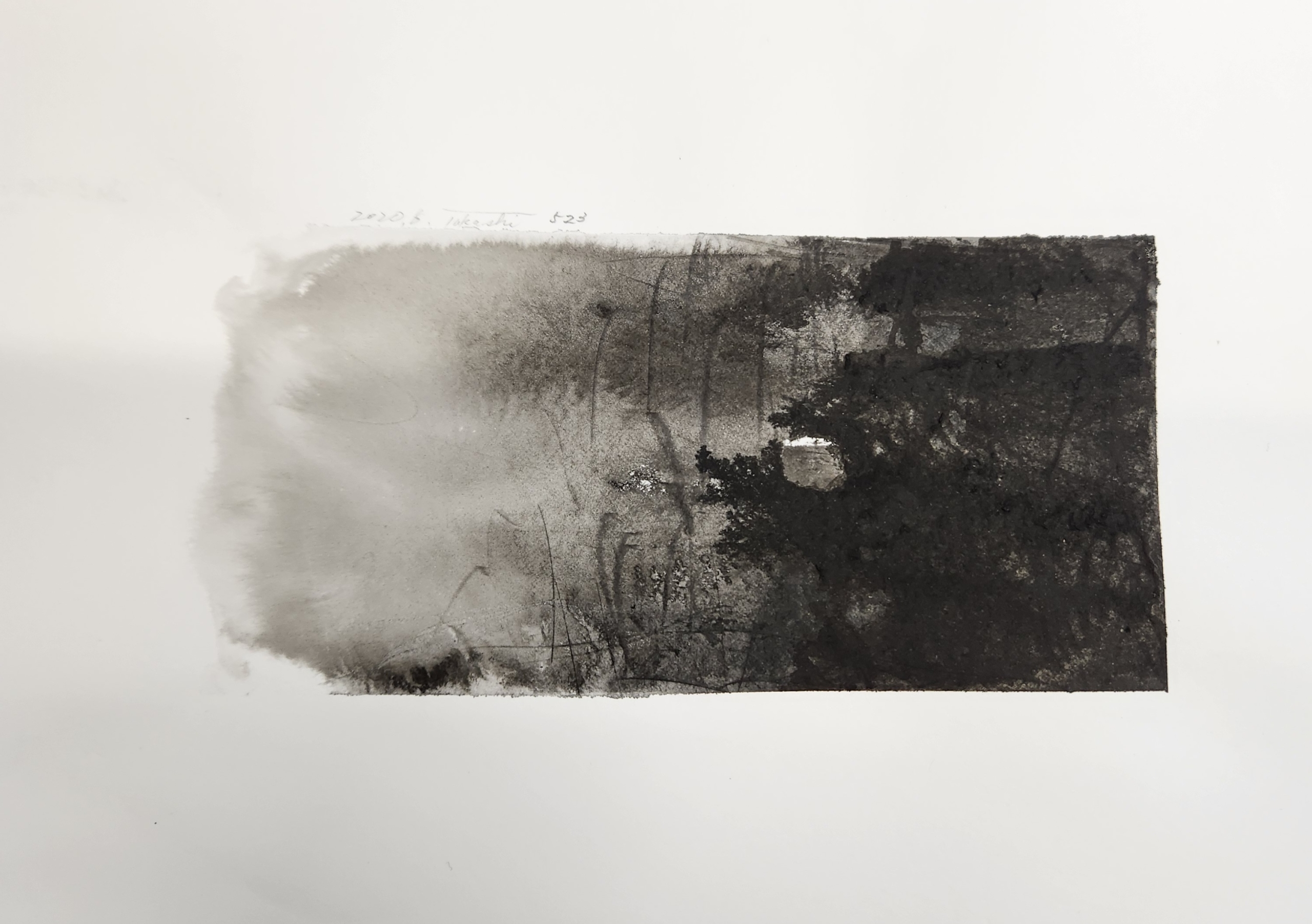 作品ギャラリー